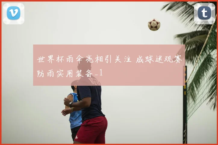 世界杯雨伞亮相引关注 成球迷观赛防雨实用装备_1