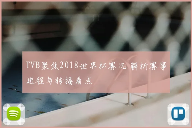 TVB聚焦2018世界杯赛况 解析赛事进程与转播看点