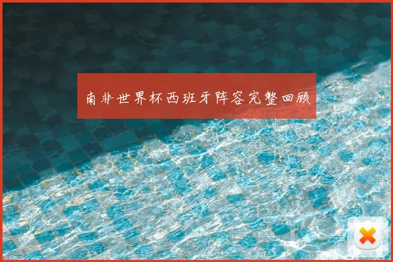 南非世界杯西班牙阵容完整回顾